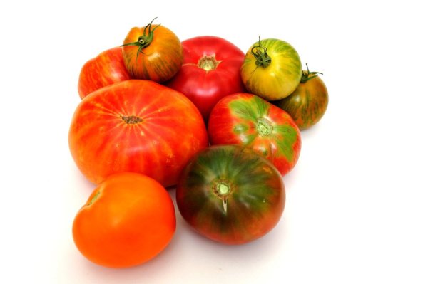 Which is the best tomato, 