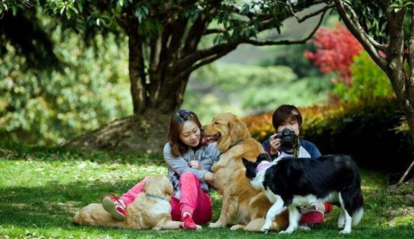 What s wrong with a dog coughing all the time and being stuck?