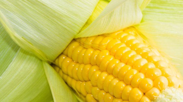 It s not a vegetable! Corn rich in vitamin A and leafy vegetation. People of this type need to pay attention to the amount of intake