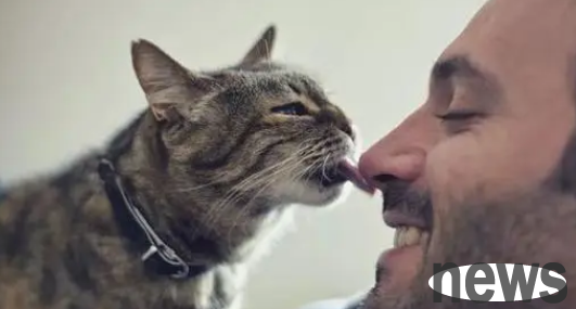 Why do cats need to hear people s mouths? This is not because the cat is sick!