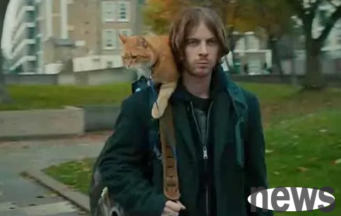I m a homeless man, but my cat is not a stray cat!