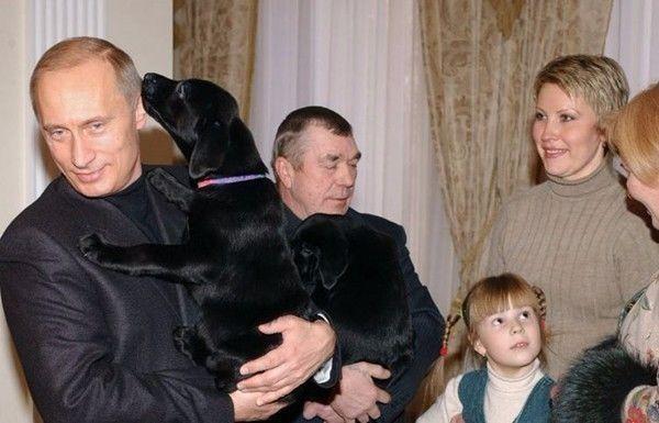 What breeds are Putin’s dogs? Let me reveal a secret to you today!