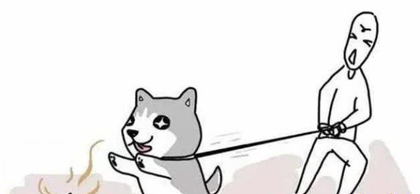 Why do dogs like to eat excrement?