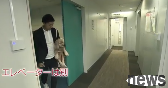 Japanese company allows employees to bring pets to work, puppies run wild in the office