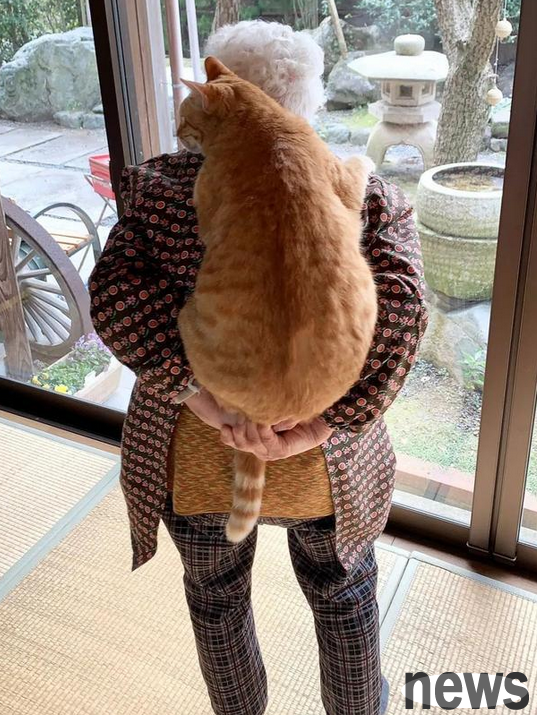 The gray-haired grandma has a plump orange cat on her back, but she has a warm smile. It’s so healing.