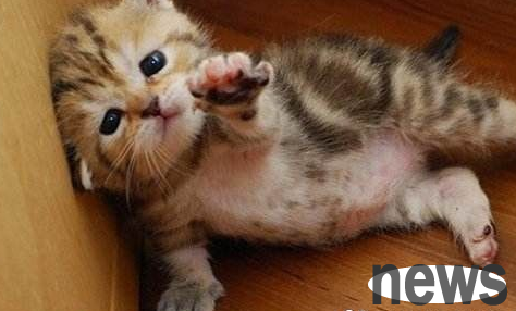 Chinese man caught, tortured, killed and hung in bathroom, lied about being Taiwanese